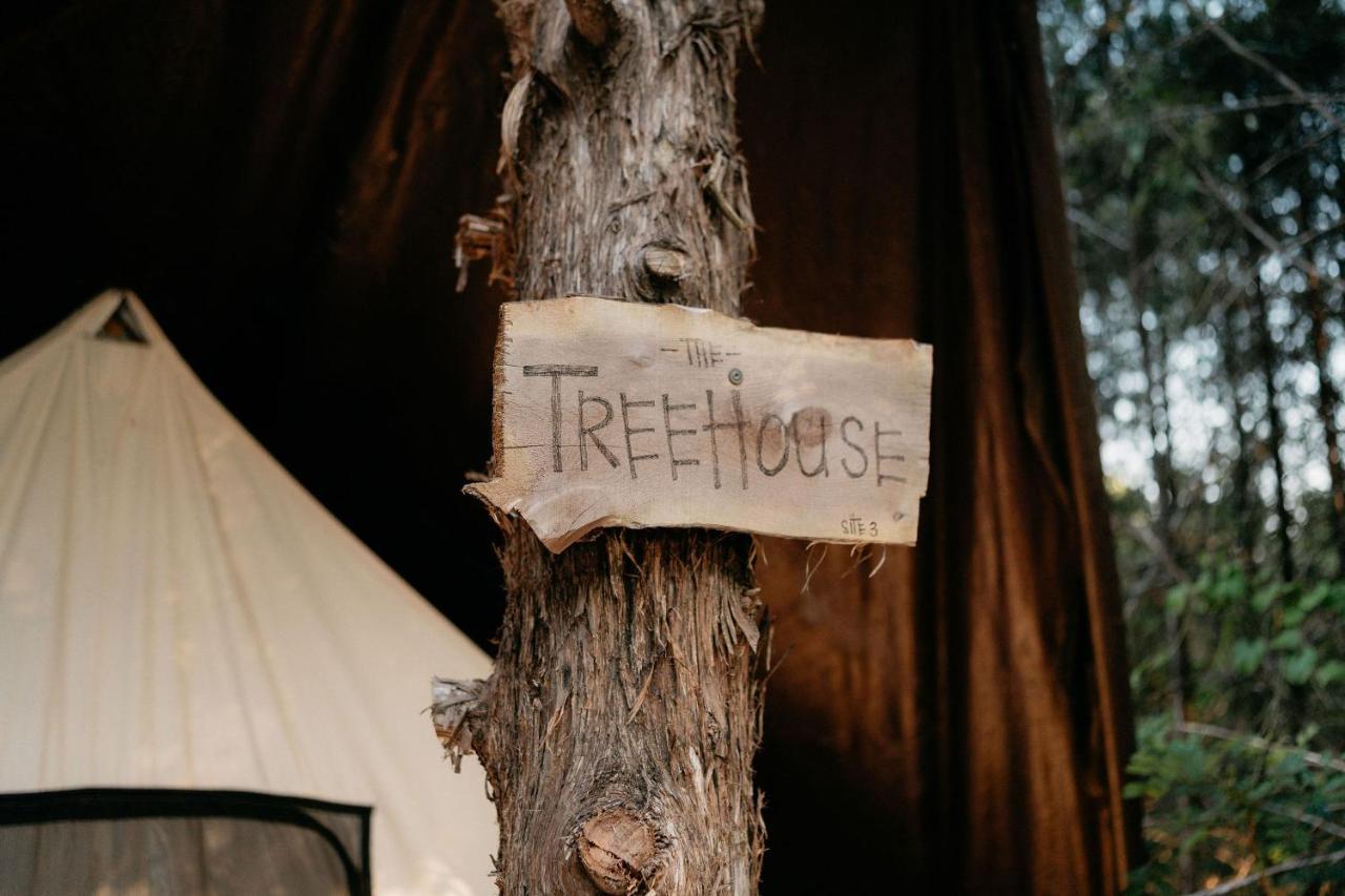 Treehouse Cozy Glamping Site Hotel Branson Luaran gambar